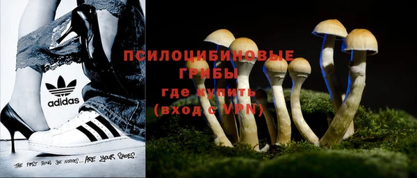 дурь Абаза