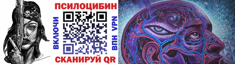Псилоцибиновые грибы Psilocybe  купить закладку  Торжок 